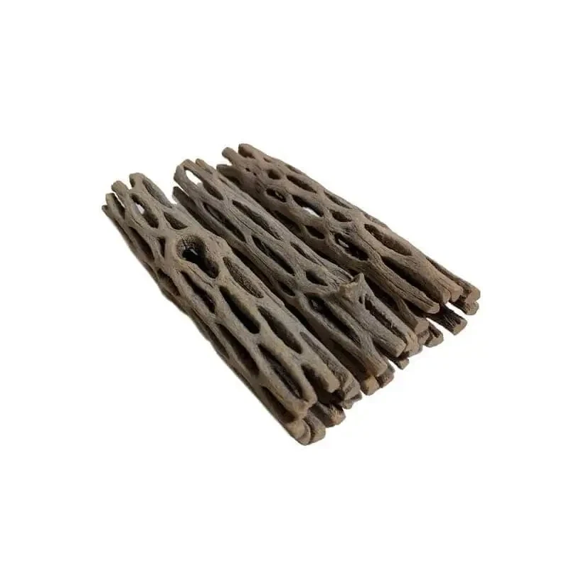 Cholla wood 15cm