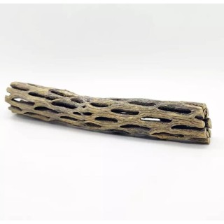 Cholla wood 15cm