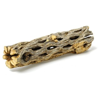 Cholla wood 15cm