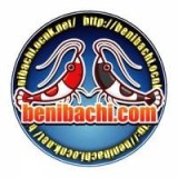 BENIBACHI